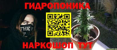 шишки Среднеуральск
